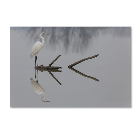 Mauro Montuori 'Reflections' Canvas Art,30x47